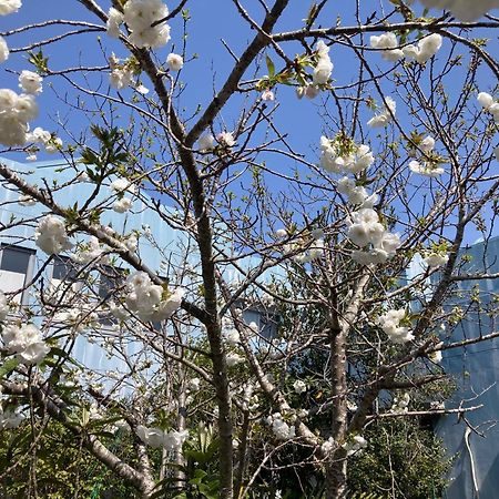 Narita Airport Samurai Hostel Kujukuri المظهر الخارجي الصورة